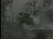 Thumbnail 33