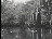 Thumbnail 35
