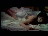 Thumbnail 23