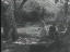 Thumbnail 36