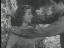 Thumbnail 37