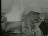 Thumbnail 36