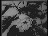 Thumbnail 36