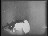 Thumbnail 41