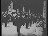 Thumbnail 48