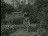 Thumbnail 24