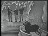 Thumbnail 20