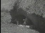 Thumbnail 37