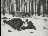 Thumbnail 33