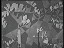 Thumbnail 22