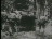 Thumbnail 26