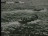 Thumbnail 24