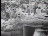 Thumbnail 27