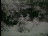 Thumbnail 28