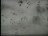 Thumbnail 35